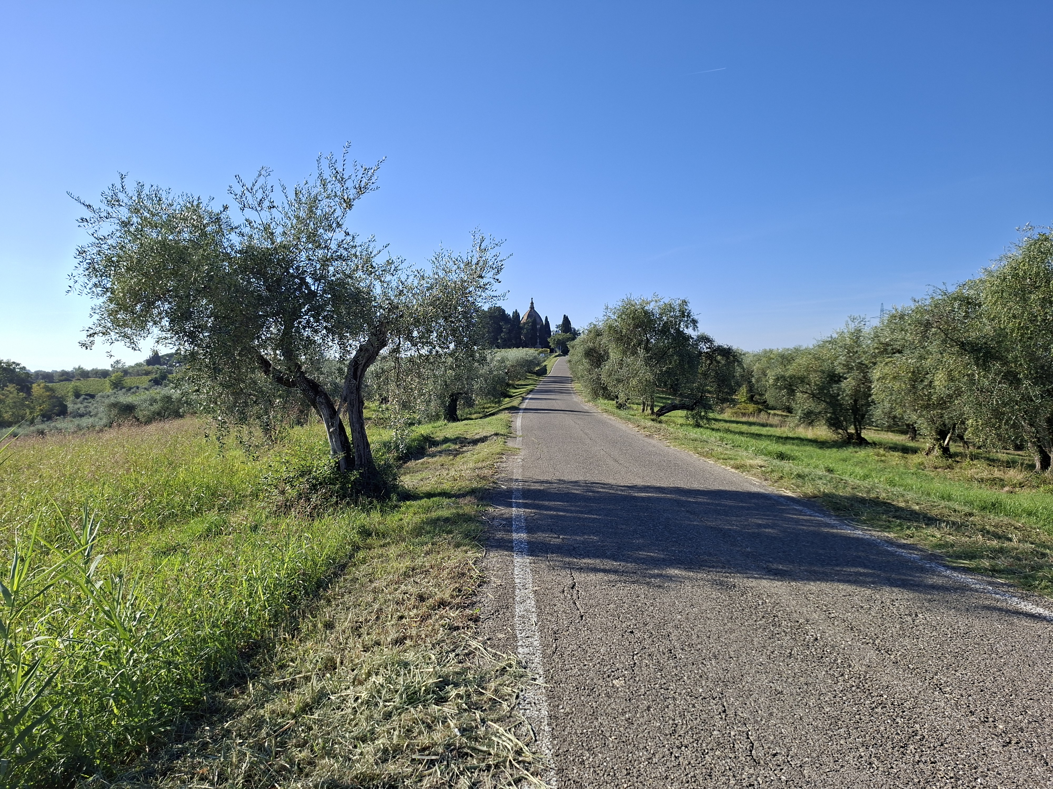 Un itinerario ad anello tra i vigneti del Chianti Classico che collega Certaldo, Barberino Val d'Elsa e Poggibonsi attraverso strade secondarie e suggestivi tratti di sterrato. Il percorso offre continui scorci sulle colline toscane, con salite regolari mai eccessivamente impegnative e numerose opportunità di sosta nei piccoli borghi storici.