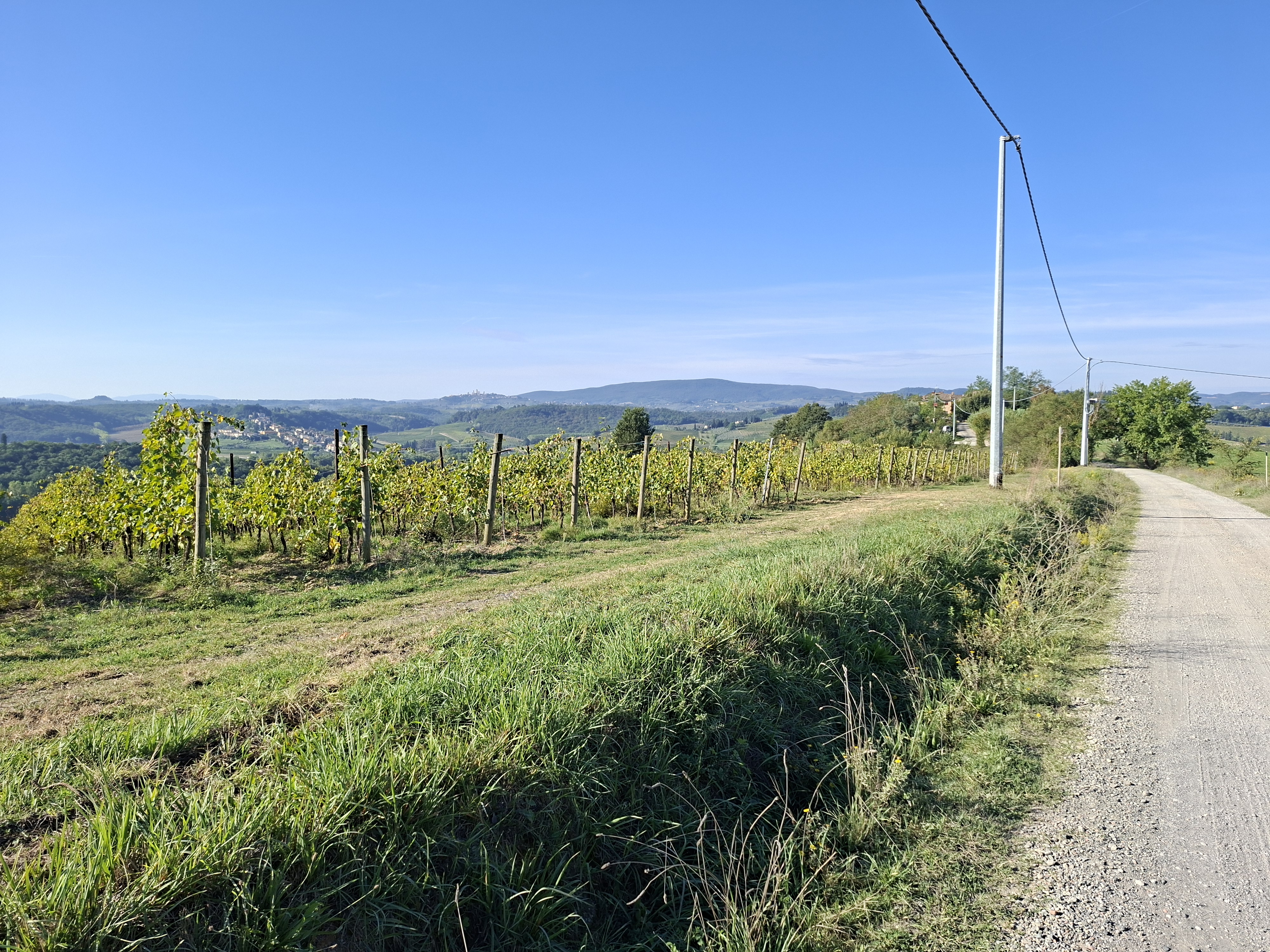 Un itinerario ad anello tra i vigneti del Chianti Classico che collega Certaldo, Barberino Val d'Elsa e Poggibonsi attraverso strade secondarie e suggestivi tratti di sterrato. Il percorso offre continui scorci sulle colline toscane, con salite regolari mai eccessivamente impegnative e numerose opportunità di sosta nei piccoli borghi storici.