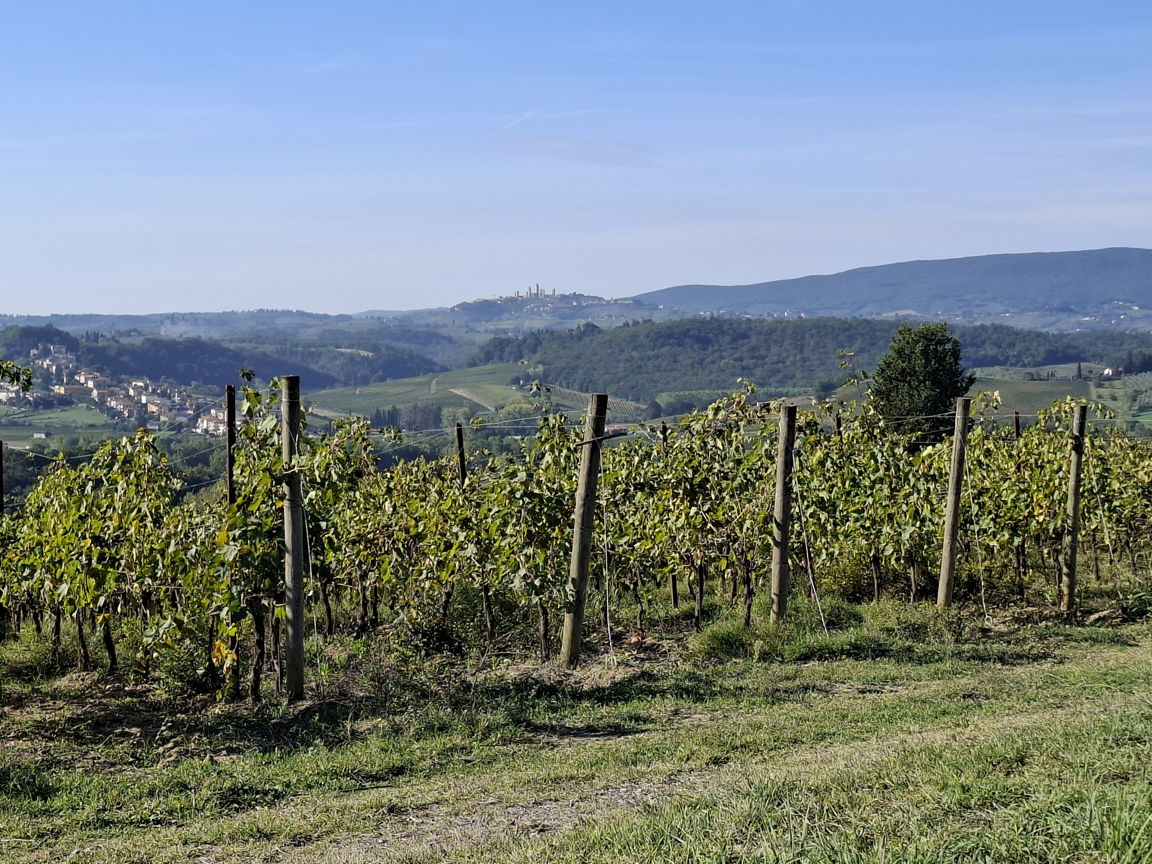 Un itinerario ad anello tra i vigneti del Chianti Classico che collega Certaldo, Barberino Val d'Elsa e Poggibonsi attraverso strade secondarie e suggestivi tratti di sterrato. Il percorso offre continui scorci sulle colline toscane, con salite regolari mai eccessivamente impegnative e numerose opportunità di sosta nei piccoli borghi storici.
