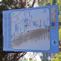 20250811 080343