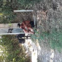 Img 20230804 Wa0010