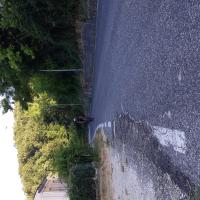 Img 20230804 Wa0018