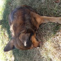 Img 20230807 Wa0064
