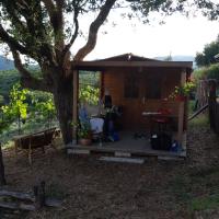 Casina 2022 08 09 At 18.25.02