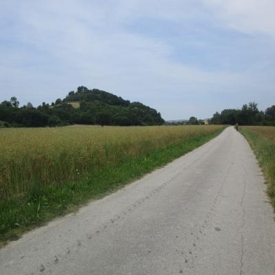 Img 1793