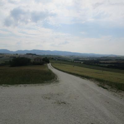 Img 1797