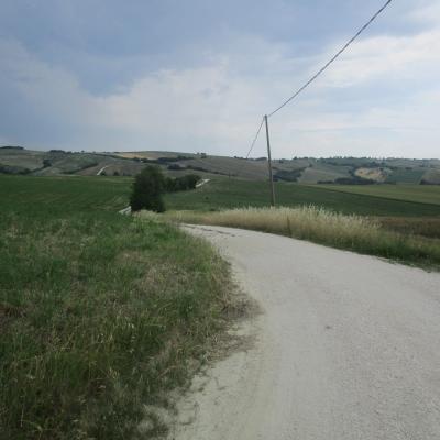 Img 1798