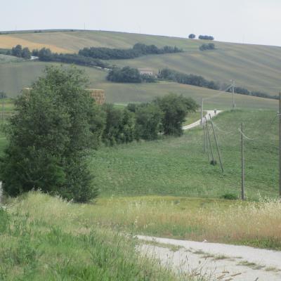 Img 1799