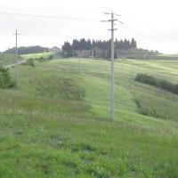Img 1665