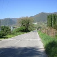 Img 2010