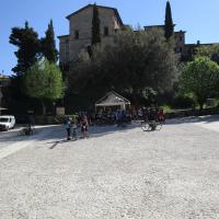 Img 2011