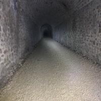 Img 0020