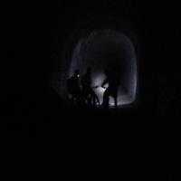 Img 1231